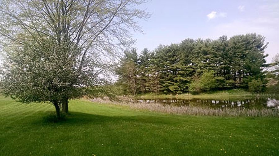 Real Estate Auction in Central Ohio, 181+/- Acres offered in 4 Tracts in Union County